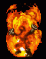 nyheter:122097909825.gif