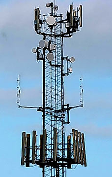 vitebok:radiomastes_228x359.jpg